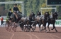 WORLD EQUISTRIAN GAMES 2014