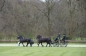 ALLE PAARDEN GEKWALIFICEERD!